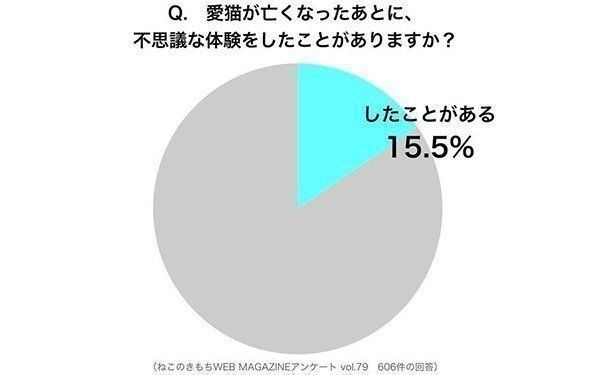 心霊いい話「愛猫が亡くなったあとに姿を見せた」飼い主さんの不思議 